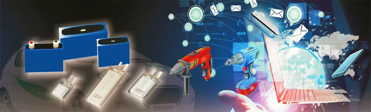 Wuhan Lixing (Torch) Power Sources Co.,Ltd.